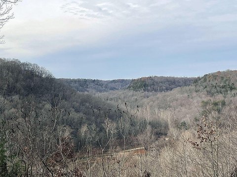 LAND - Russell Springs, KY