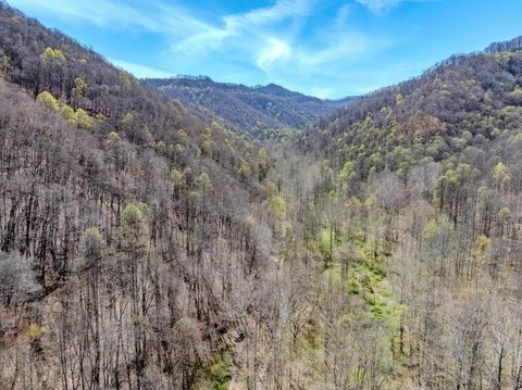 72 Acres Wooded Land, Creek