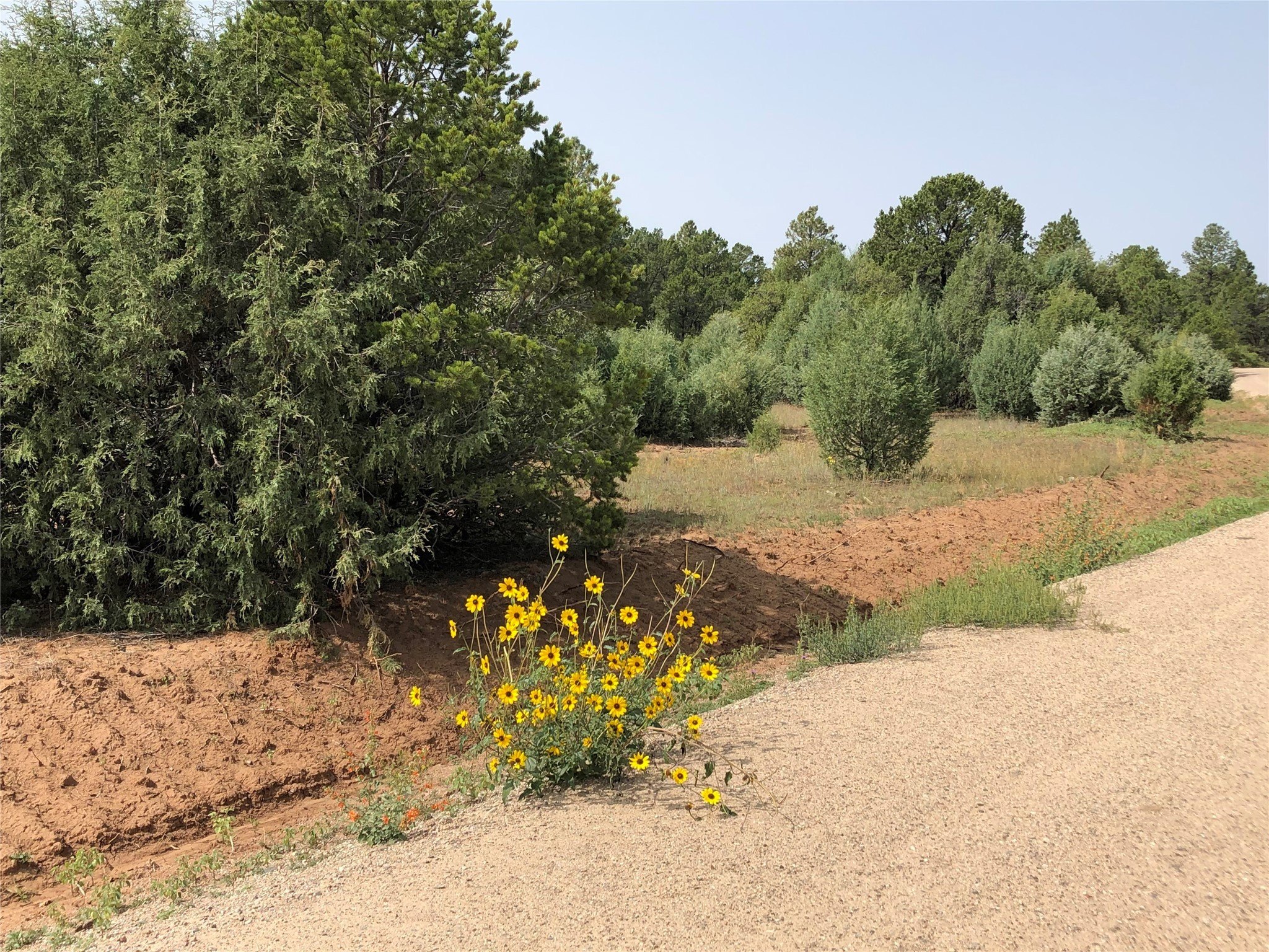 Land in Gated Community