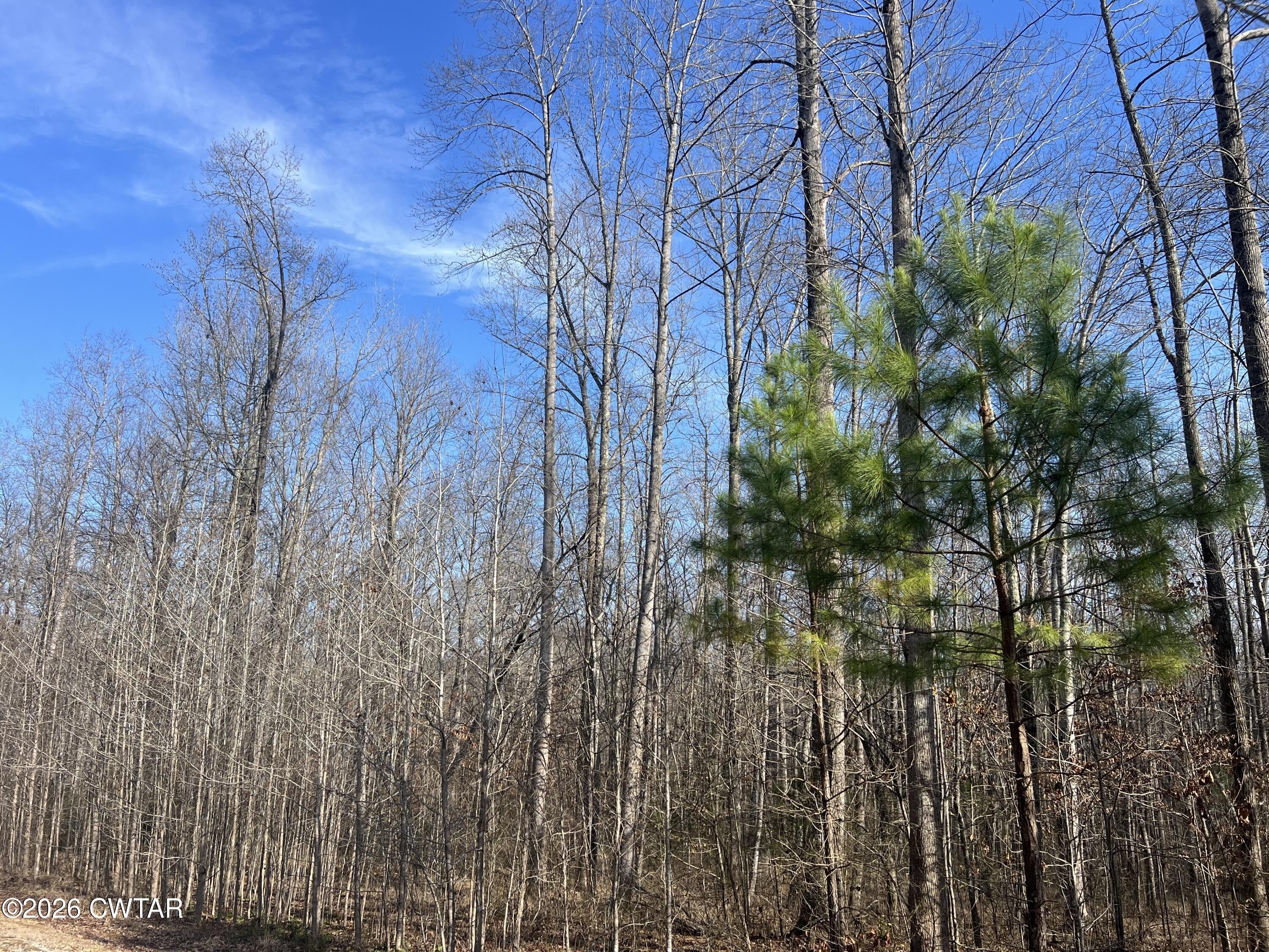 Land in Indian Lake Community