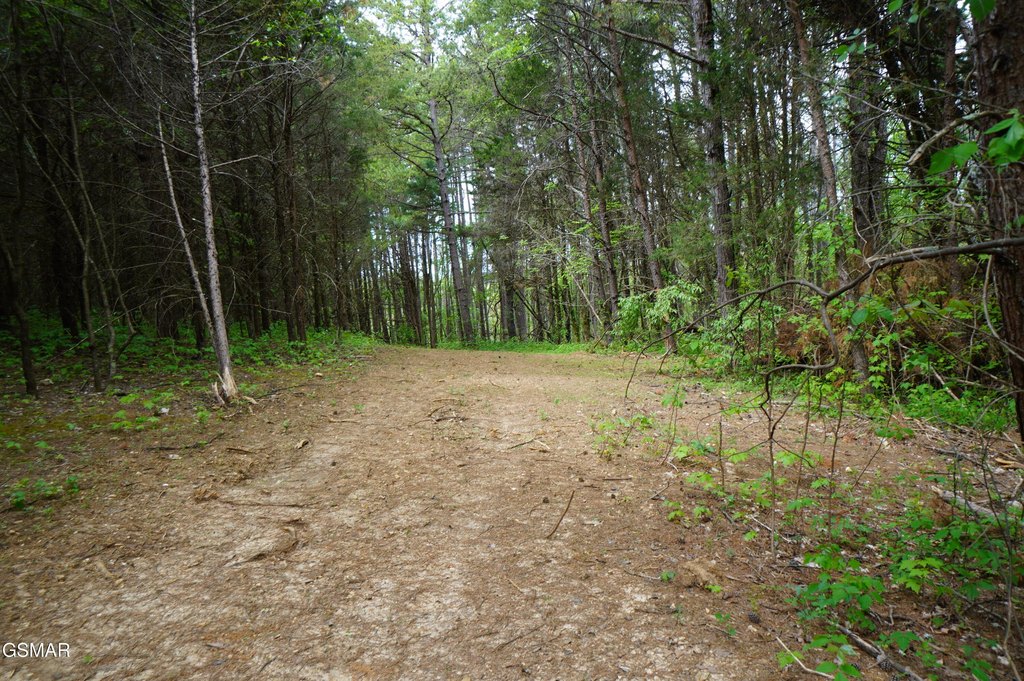 Picture 48