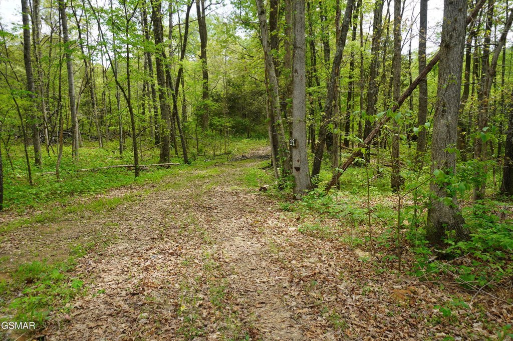 Picture 63