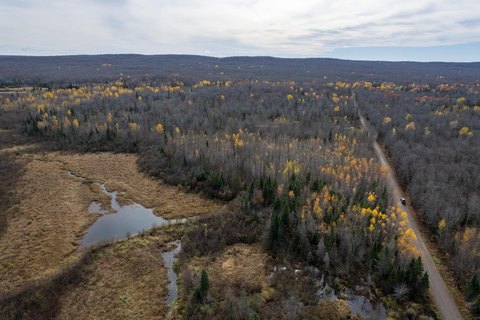 Wooded Land in Anderson, WI