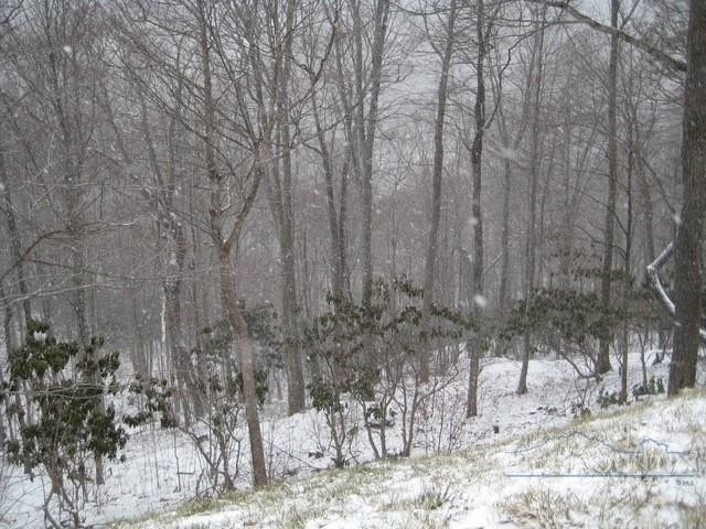 Picture 14