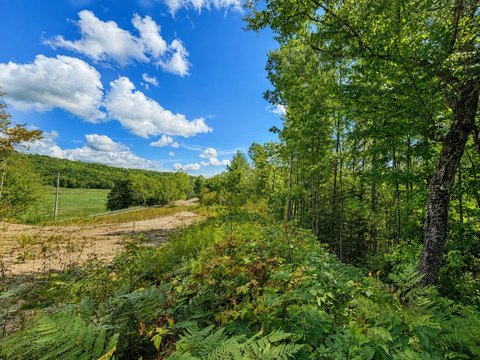 Land, Burke, VT