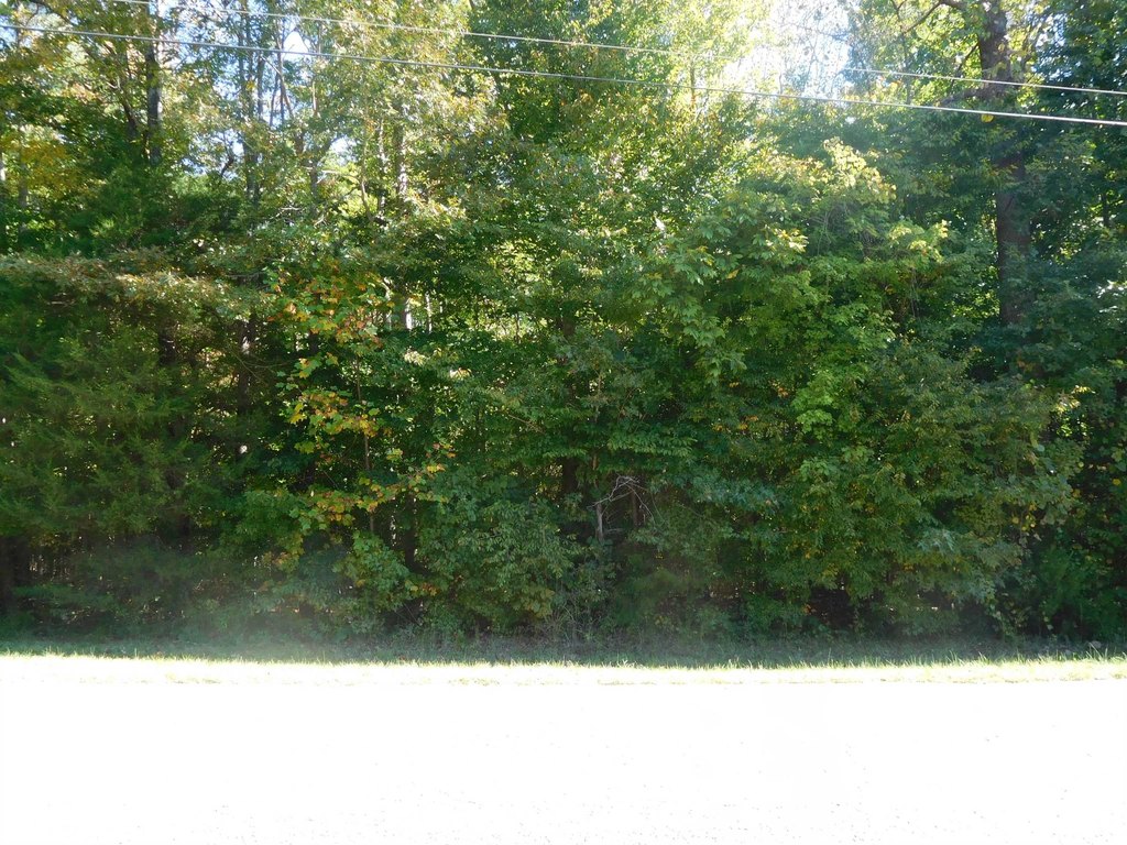 Picture 2