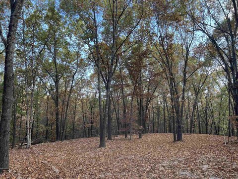 Secluded Land with Hardwood Trees