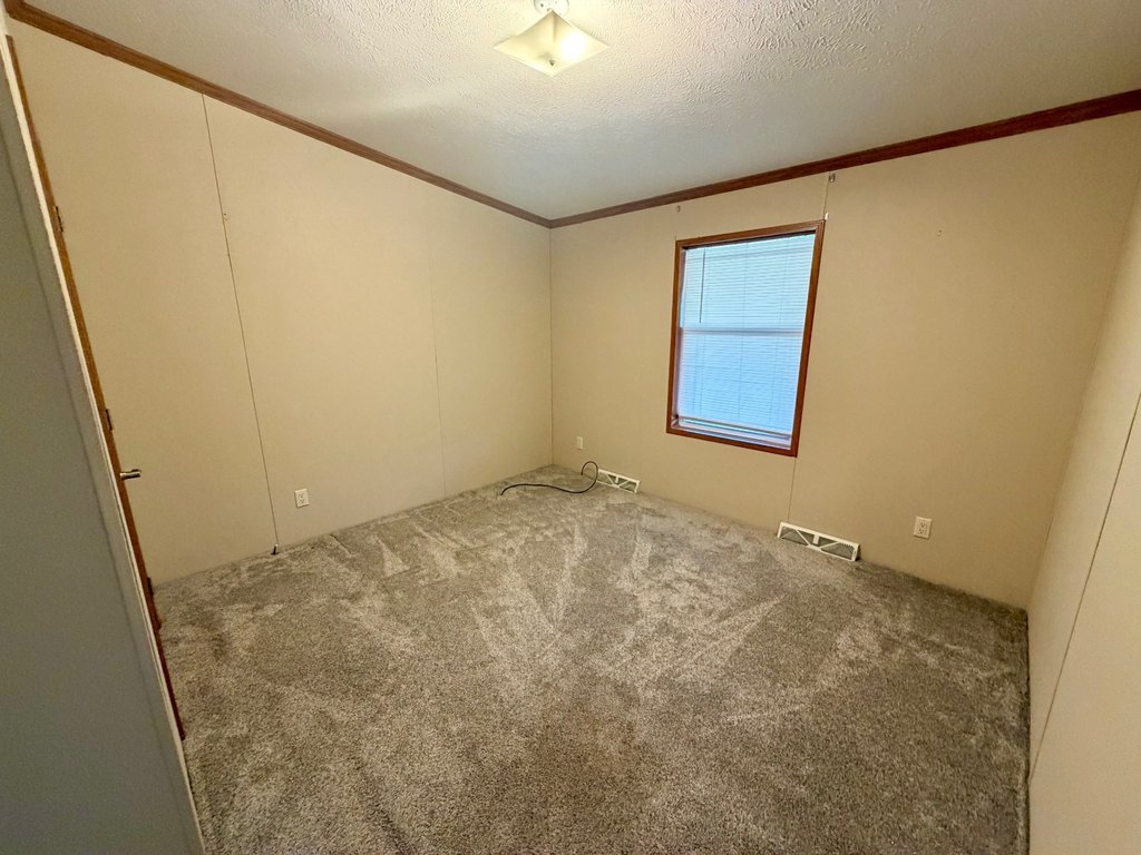 Picture 47