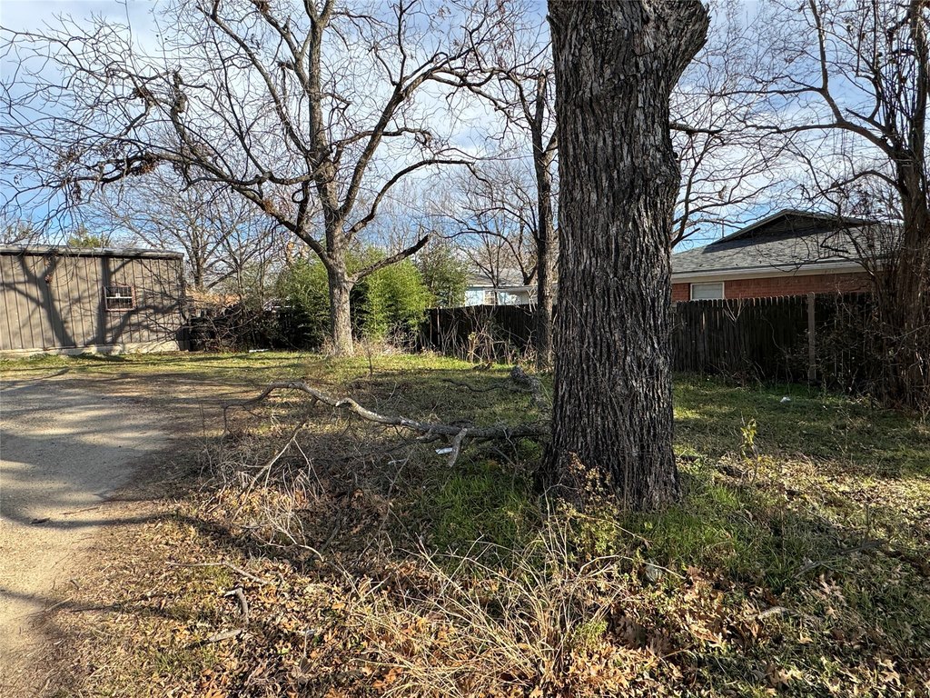 Picture 16