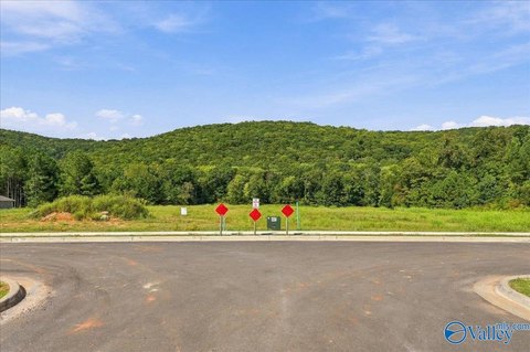 Land, Owens Cross Roads, AL