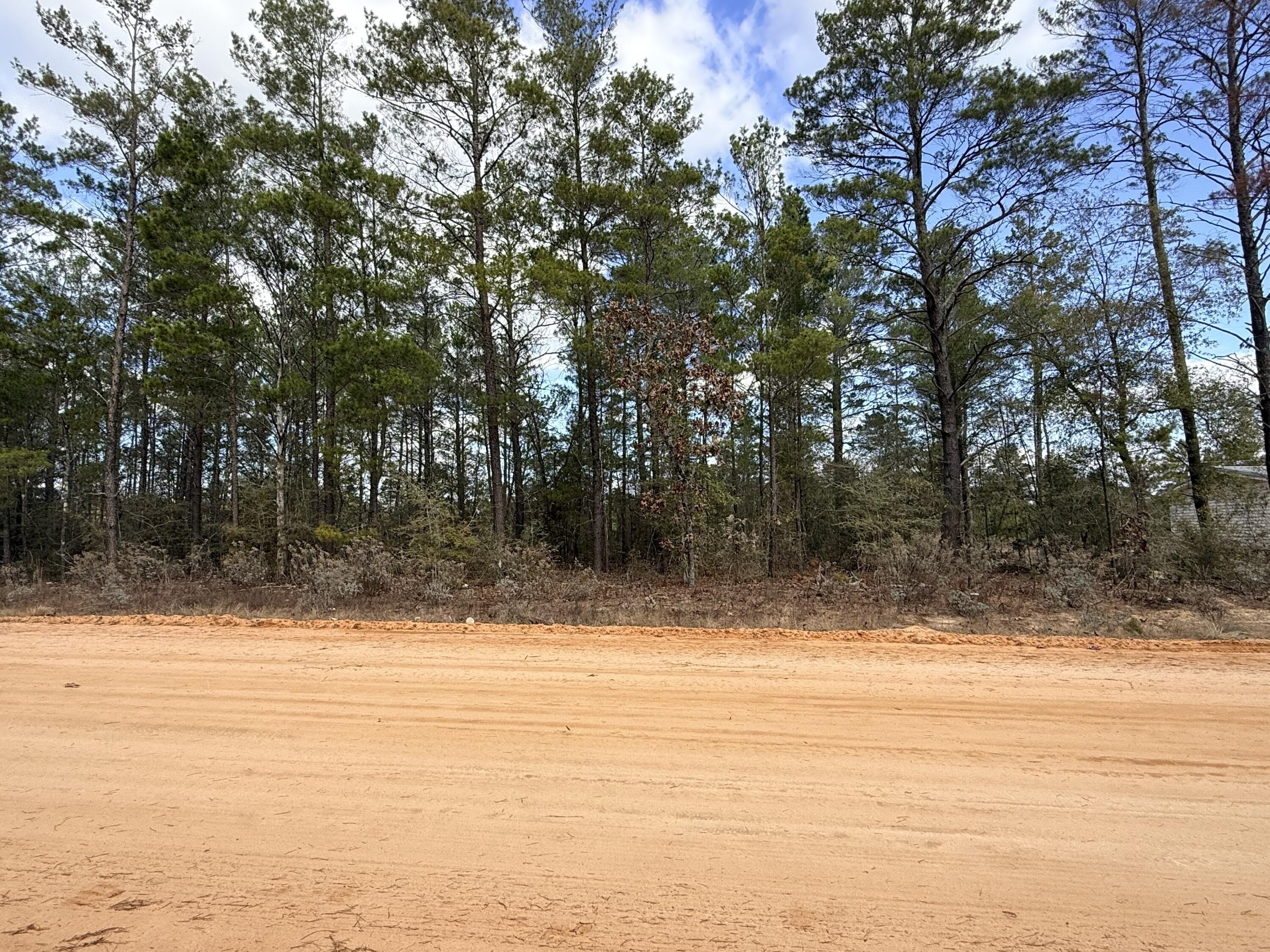 Wooded Lot Near Mossy Head