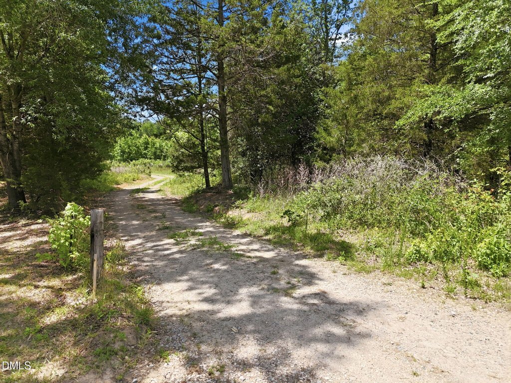 Picture 36