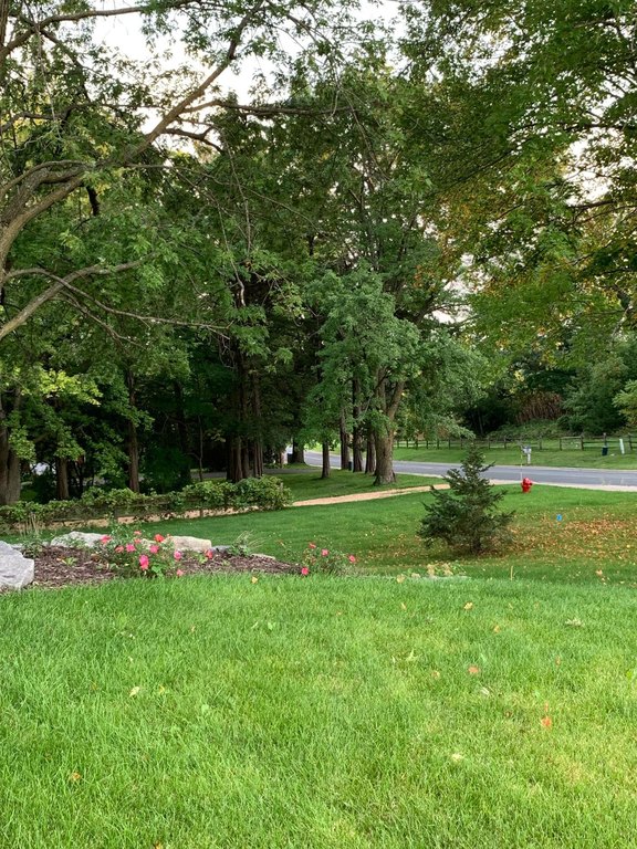 Picture 21