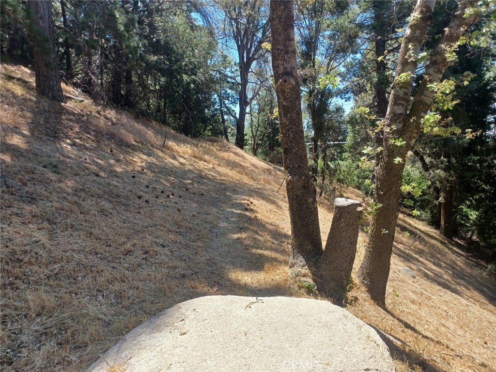 Picture 4