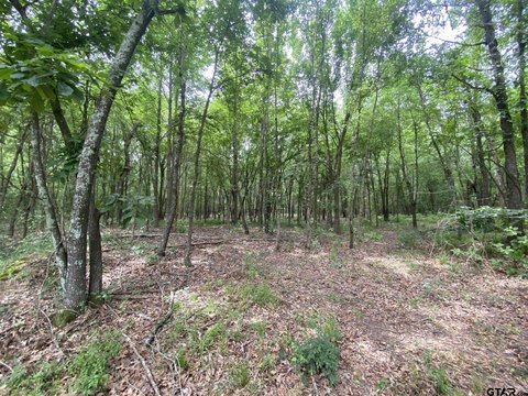 LAND - Mt Pleasant, TX