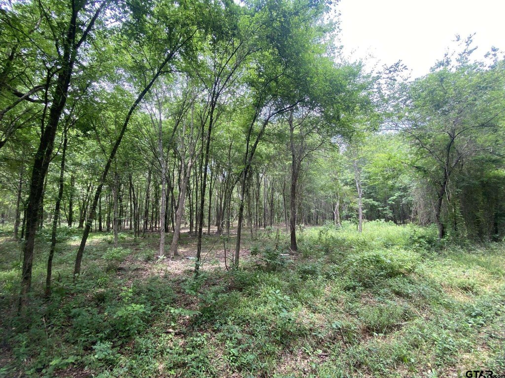 Picture 2