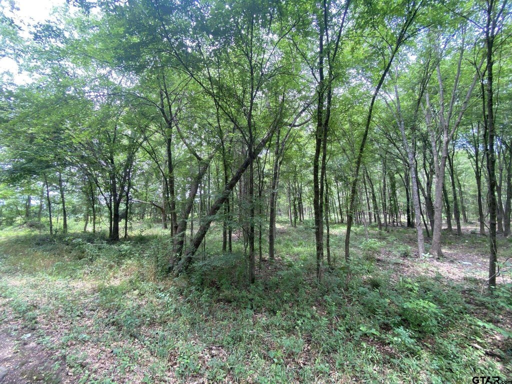 Picture 3