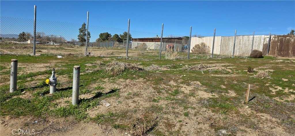 Picture 16