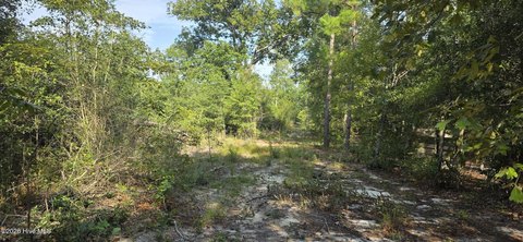 Land, Aiken, SC