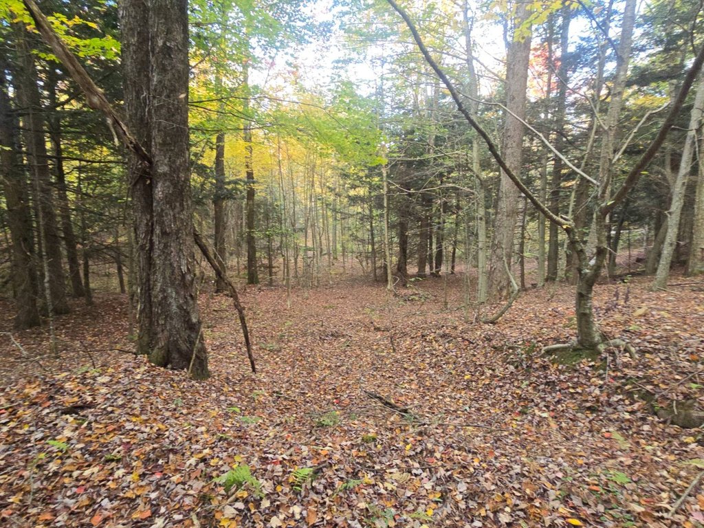 Picture 19