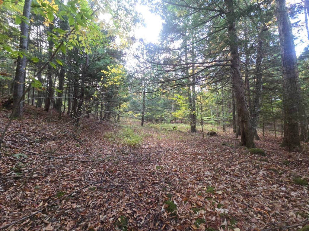 Picture 27