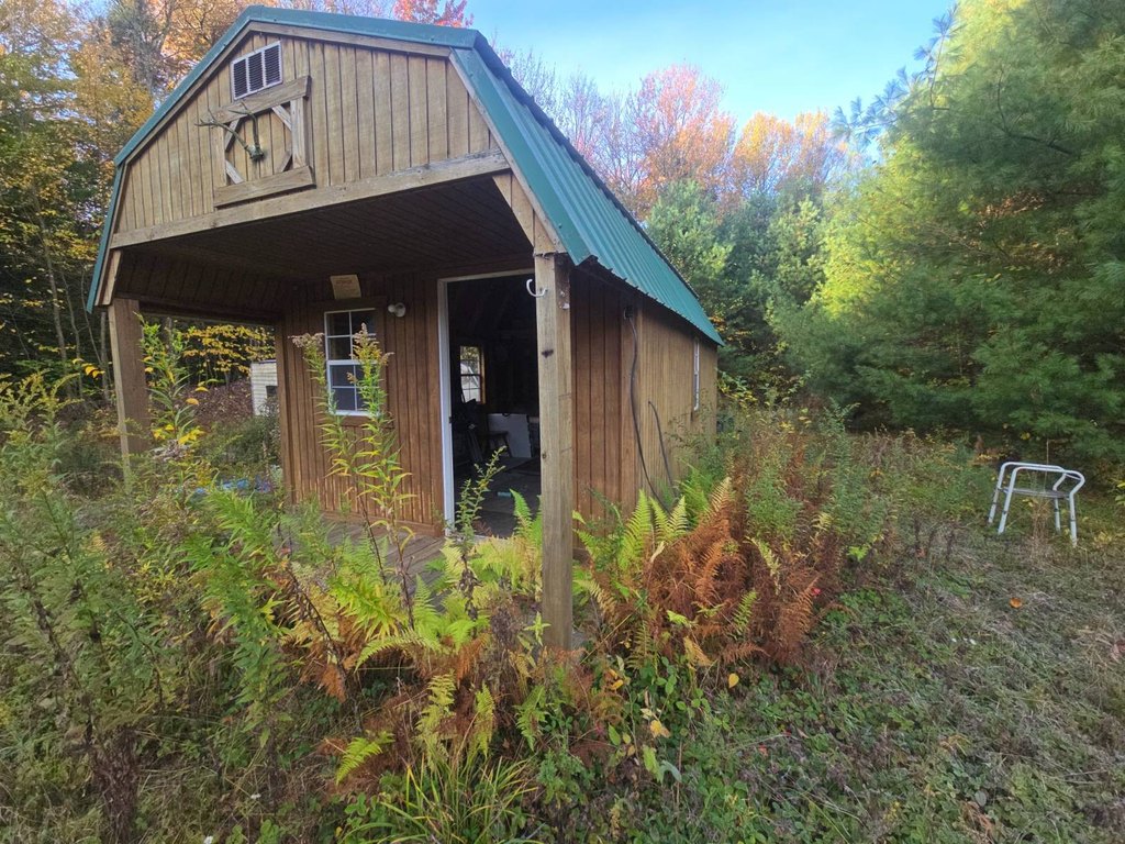 Picture 8