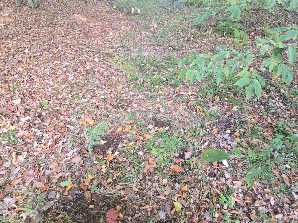 Picture 18