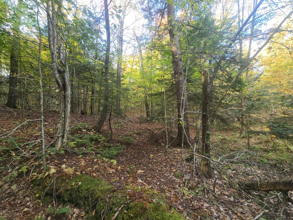 Picture 15