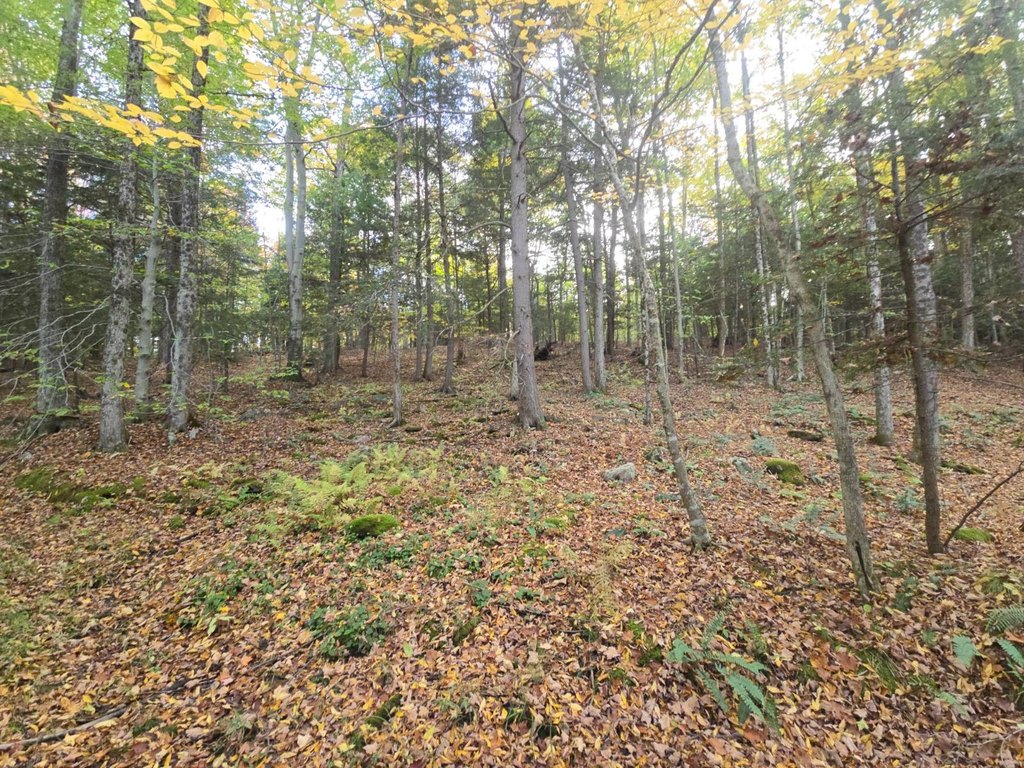 Picture 23