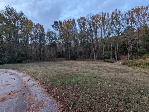 LAND - Dalzell, SC