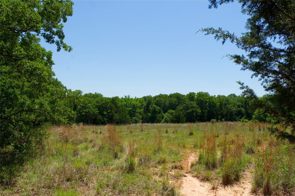 Picture 24