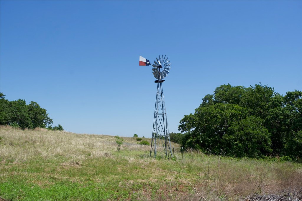 Picture 20