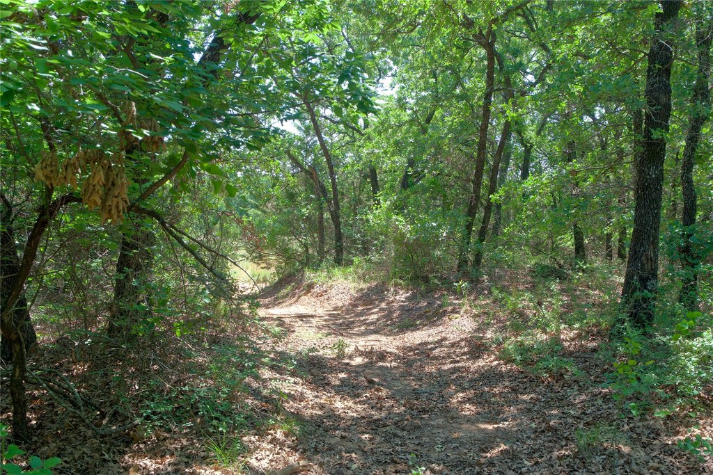 Picture 22
