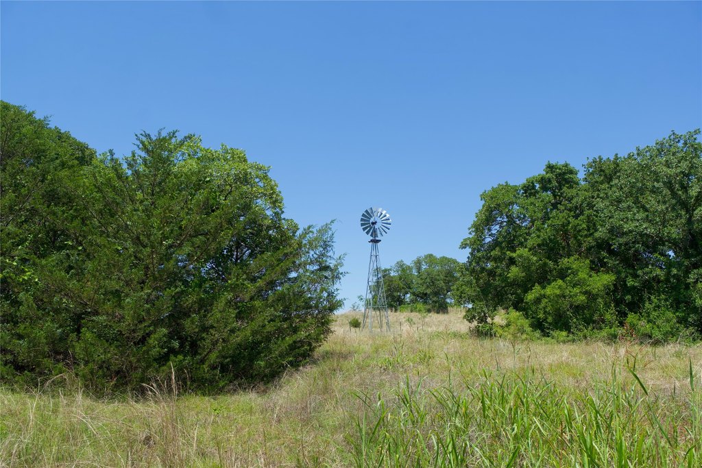 Picture 25