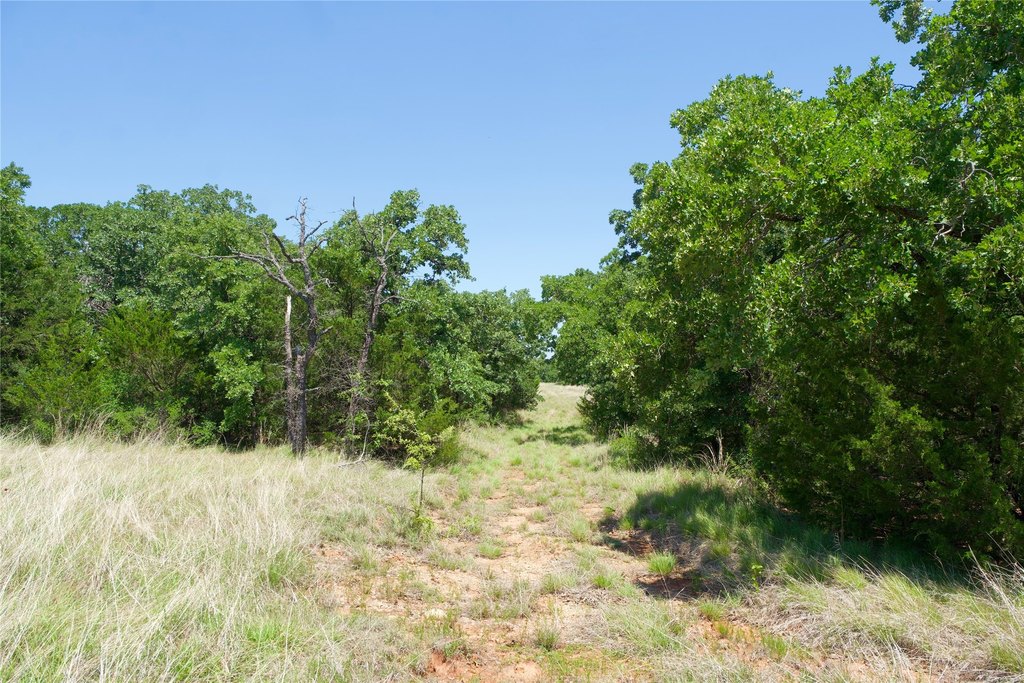 Picture 28