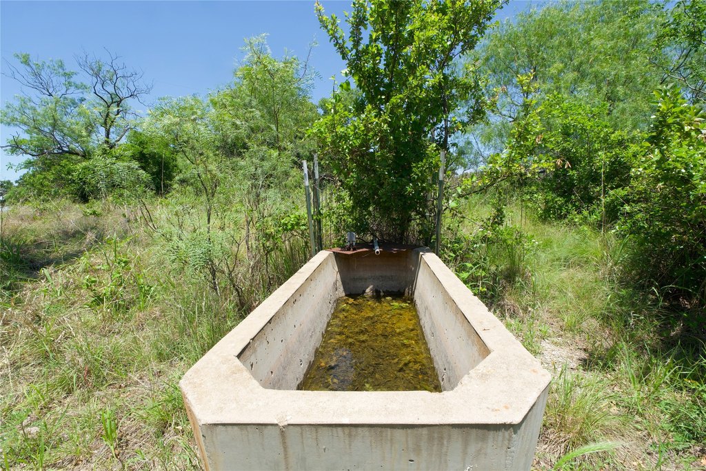 Picture 31
