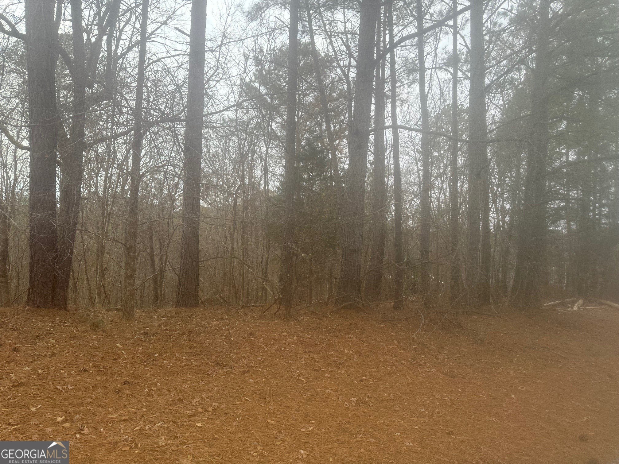 Land Near Kelly Lake