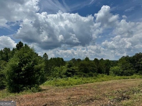 Lakemont, GA Acreage with Privacy