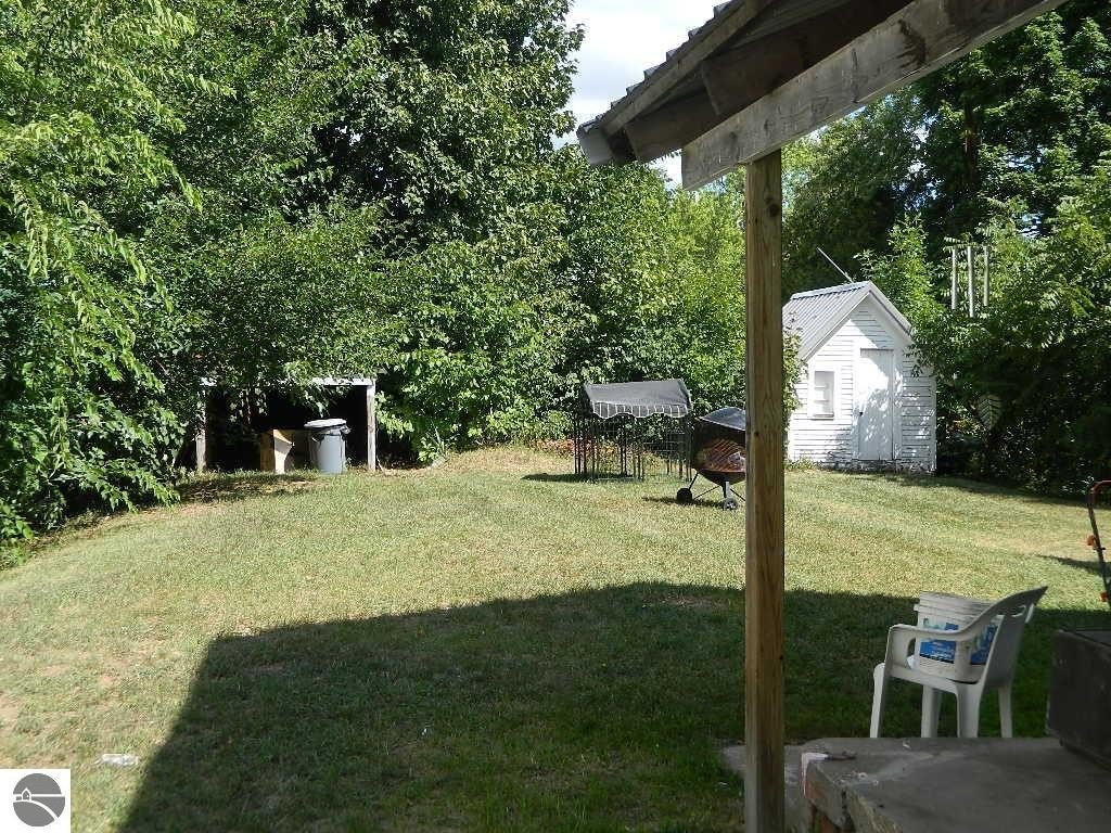 Picture 3