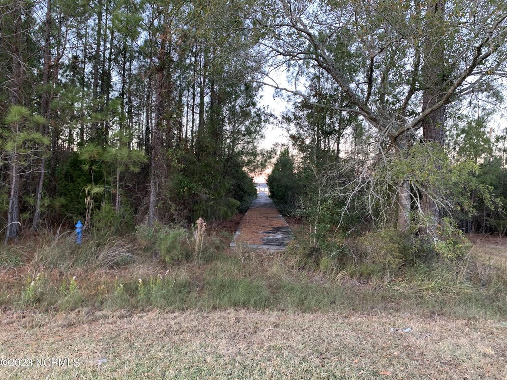 Picture 5