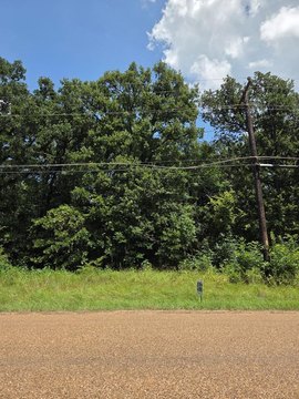 Treed Lot Near Cedar Creek