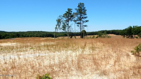 Grenada Lake Area Land