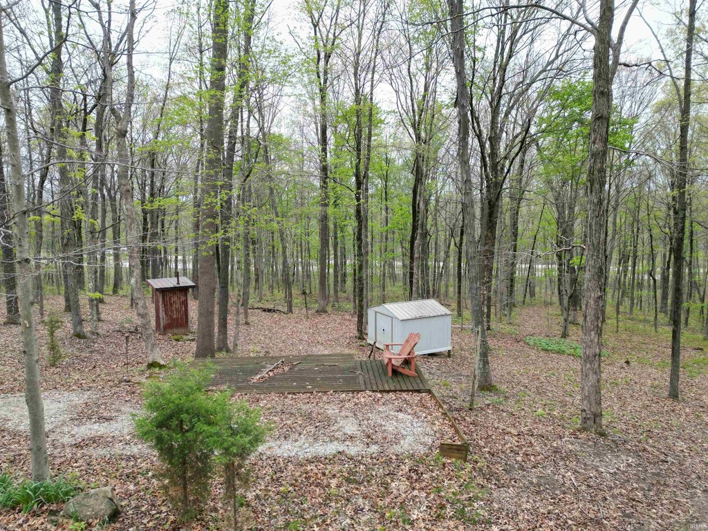 Picture 4