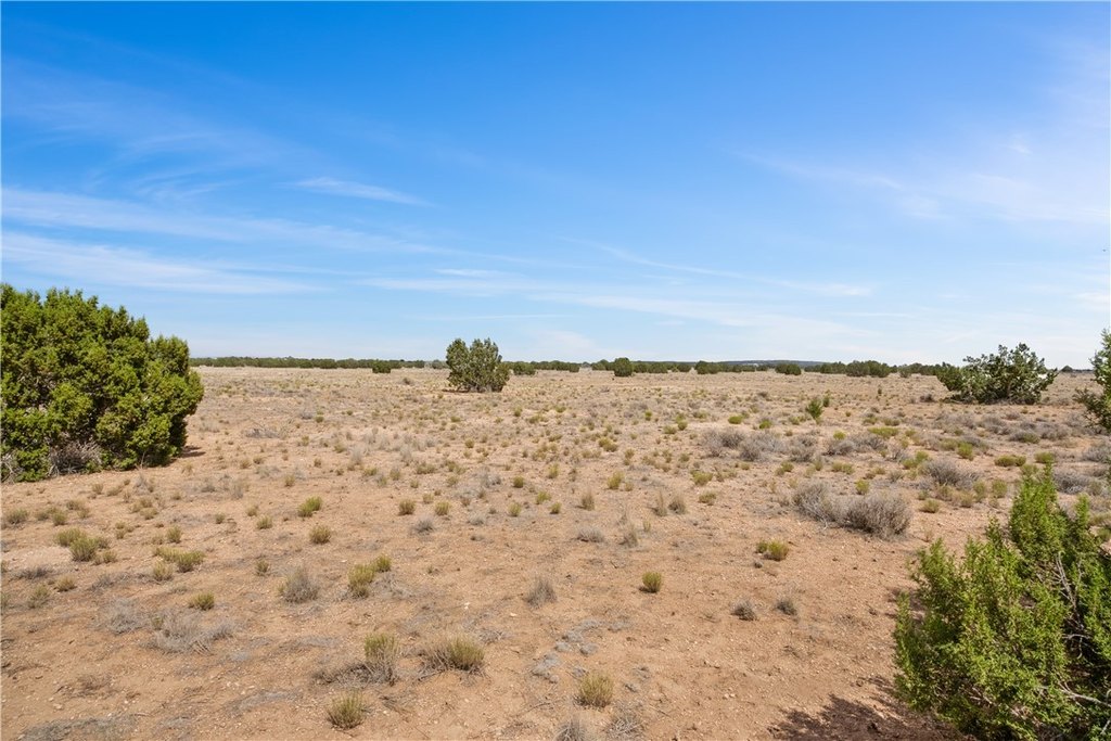 Picture 28