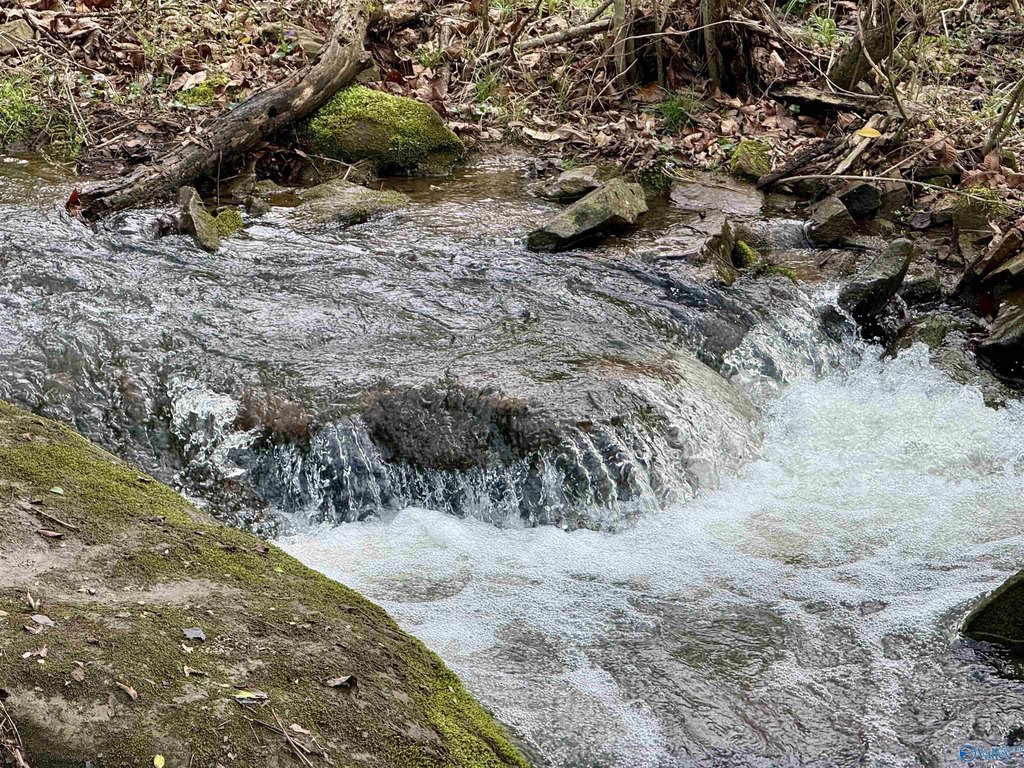 Picture 36