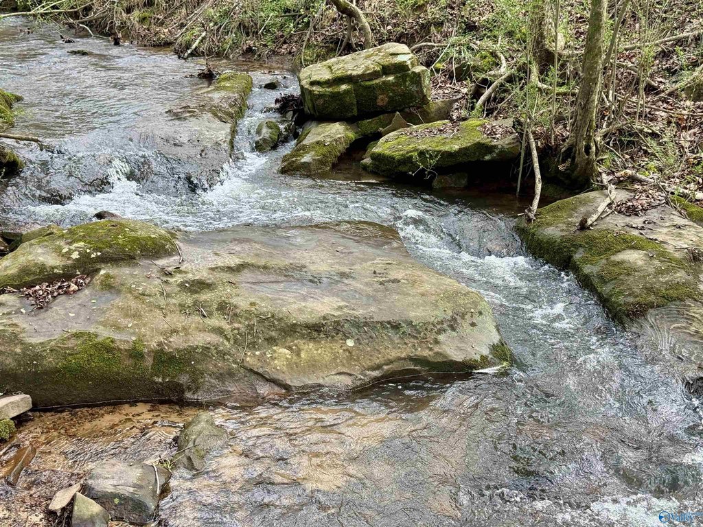 Picture 41