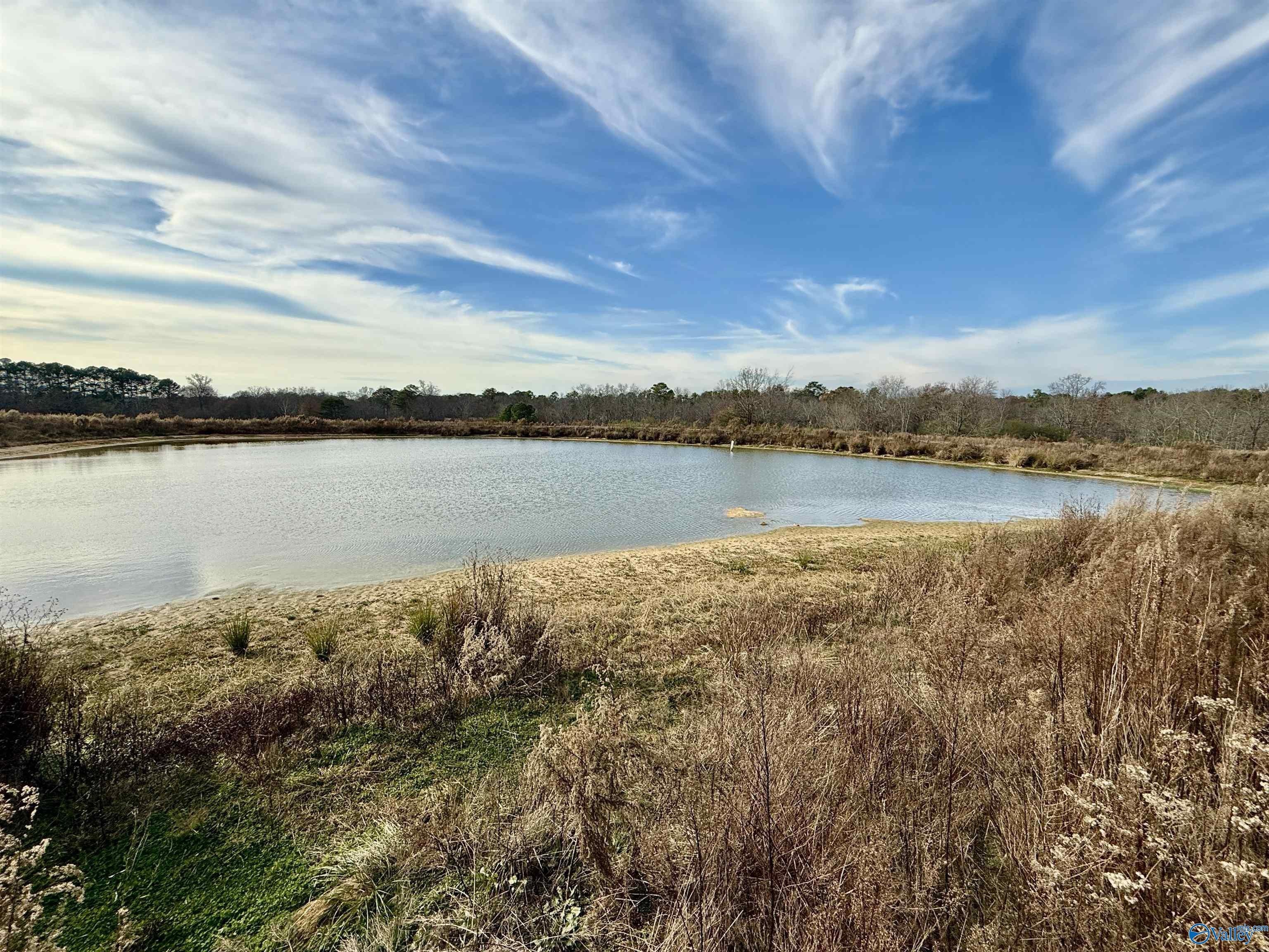 36.21 Acres Versatile Rural Tract
