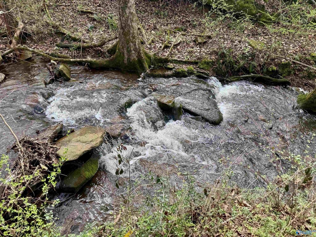 Picture 38