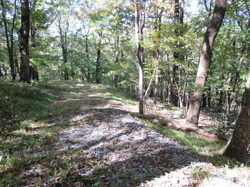 Picture 9