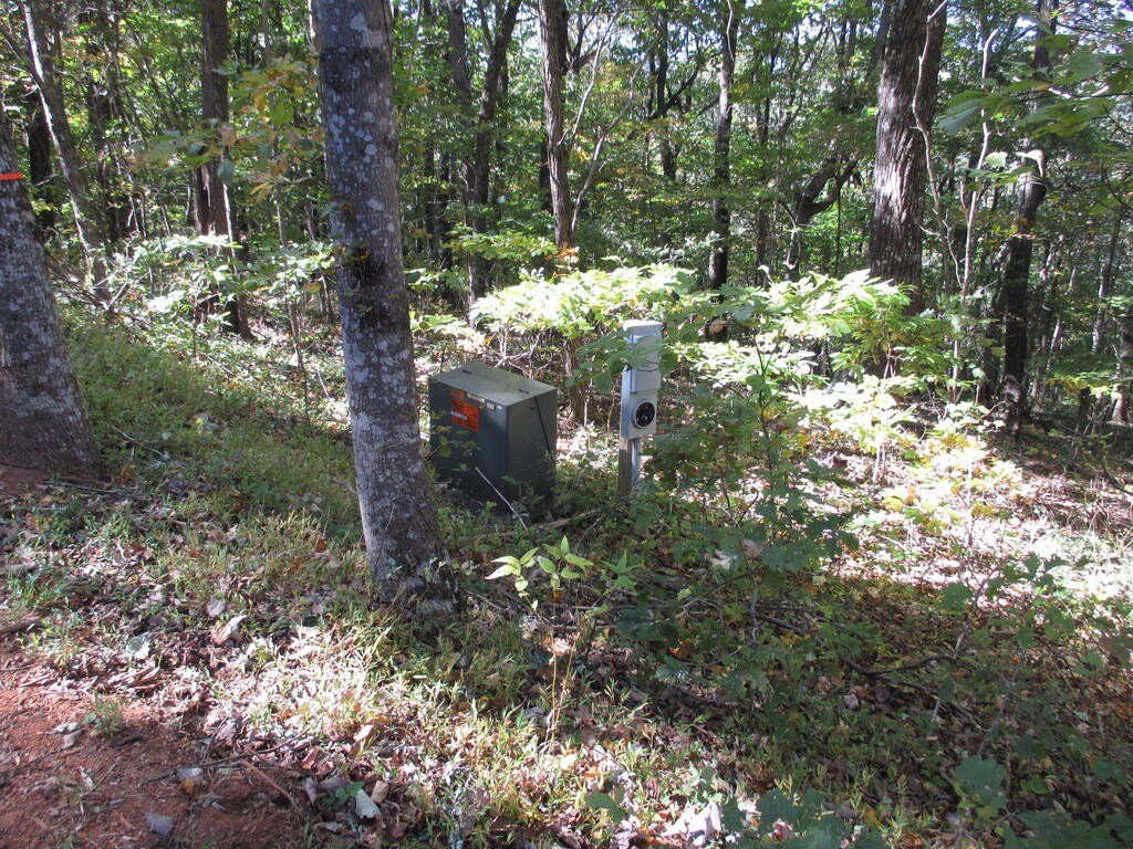 Picture 19